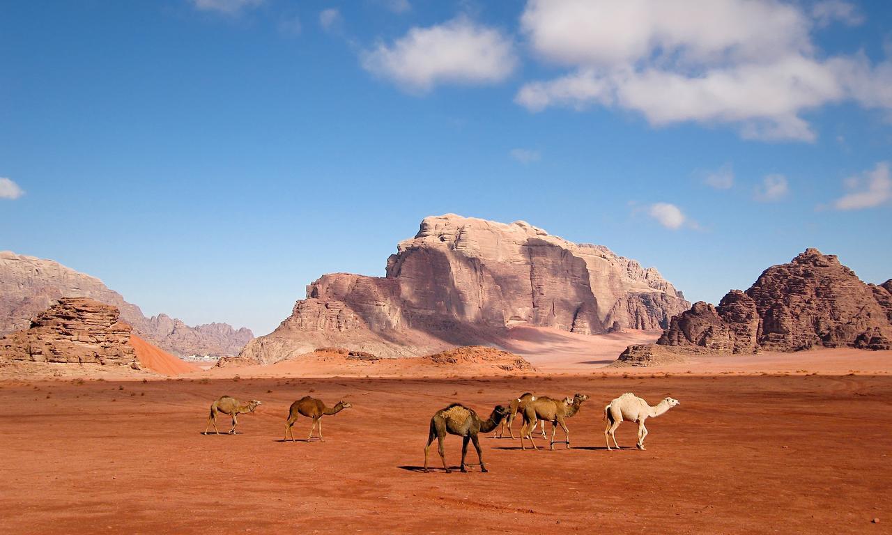Wadi Rum Moon Light Camp Esterno foto